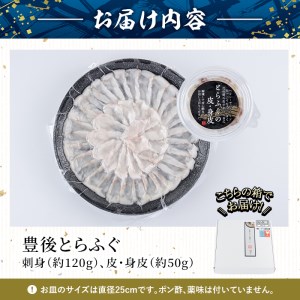 ＜冷凍＞豊後とらふぐ 刺身 皮 身皮 (2-3人前) とらふぐ ふぐ フグ ふぐ刺し フグ刺し ふぐ刺身 フグ刺身 刺身 鮮魚 冷凍 養殖 国産 大分県 佐伯市【AB102】【柳井商店】