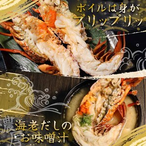 天然伊勢海老１kg（サイズ・匹数おまかせ）【R00625】