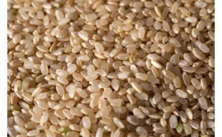 令和8年産　新米　仁淀ブルーの恵み「おち米」（玄米）3kg