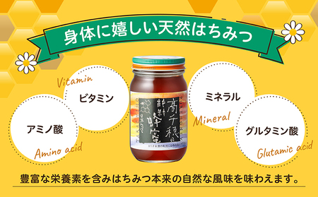日本みつばち　 高千穂の純粋蜂蜜 300g×2本 セット 国産はちみつ 瓶 蜂蜜 調味料 百花蜂蜜 天然 純粋蜂蜜 自然蜜 セット 贈答 贈り物 ギフト プレゼント お祝い お取り寄せグルメ グルメ 高千穂産 国産 九州 _Tk006-001