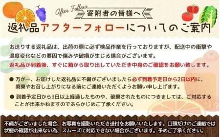 【2026年11月発送予約分】＼光センサー選別／農家直送 こだわりの完熟有田みかん 約8kg＋150g(傷み補償分) 【ご家庭用】【11月発送】【nuk100-11C】