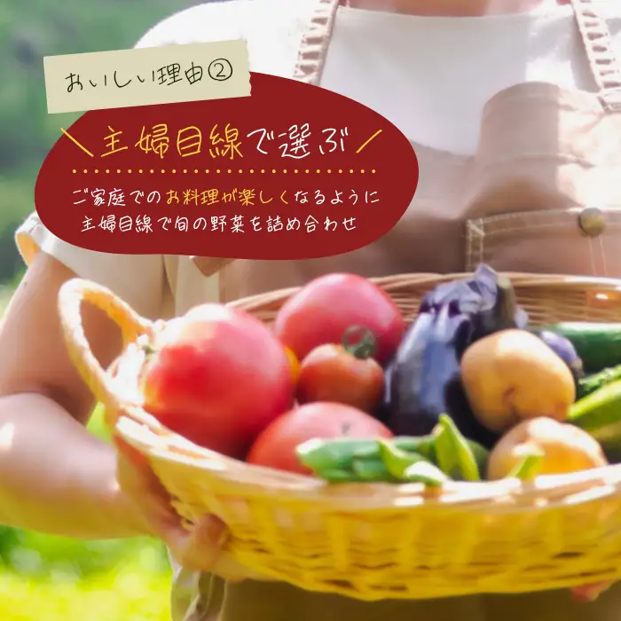 【定期便】淡路島の旬の野菜セット 3ヶ月コース　野菜詰め合わせ