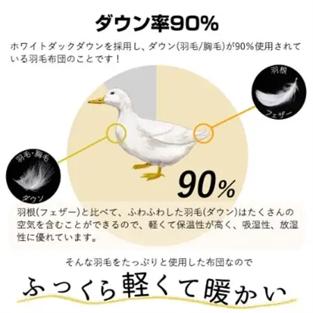 【洗える】春夏用羽毛肌掛け布団シングルダウン90%クリーム2枚セット抗菌防臭防ダニ立体キルト【1227674】