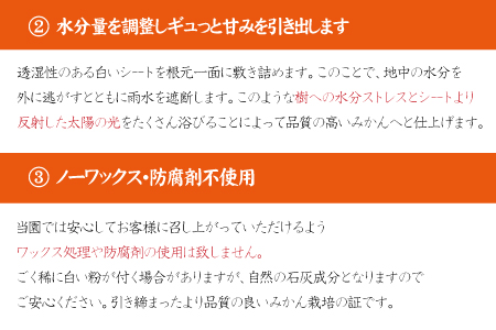 【2022年冬頃発送予約分】【農家直送】完熟有田みかん 約5kg 有機質肥料100%  サイズ混合 先行予約 ※2022年12月上旬～2023年1月下旬に順次発送予定（お届け日指定不可）【nuk118】