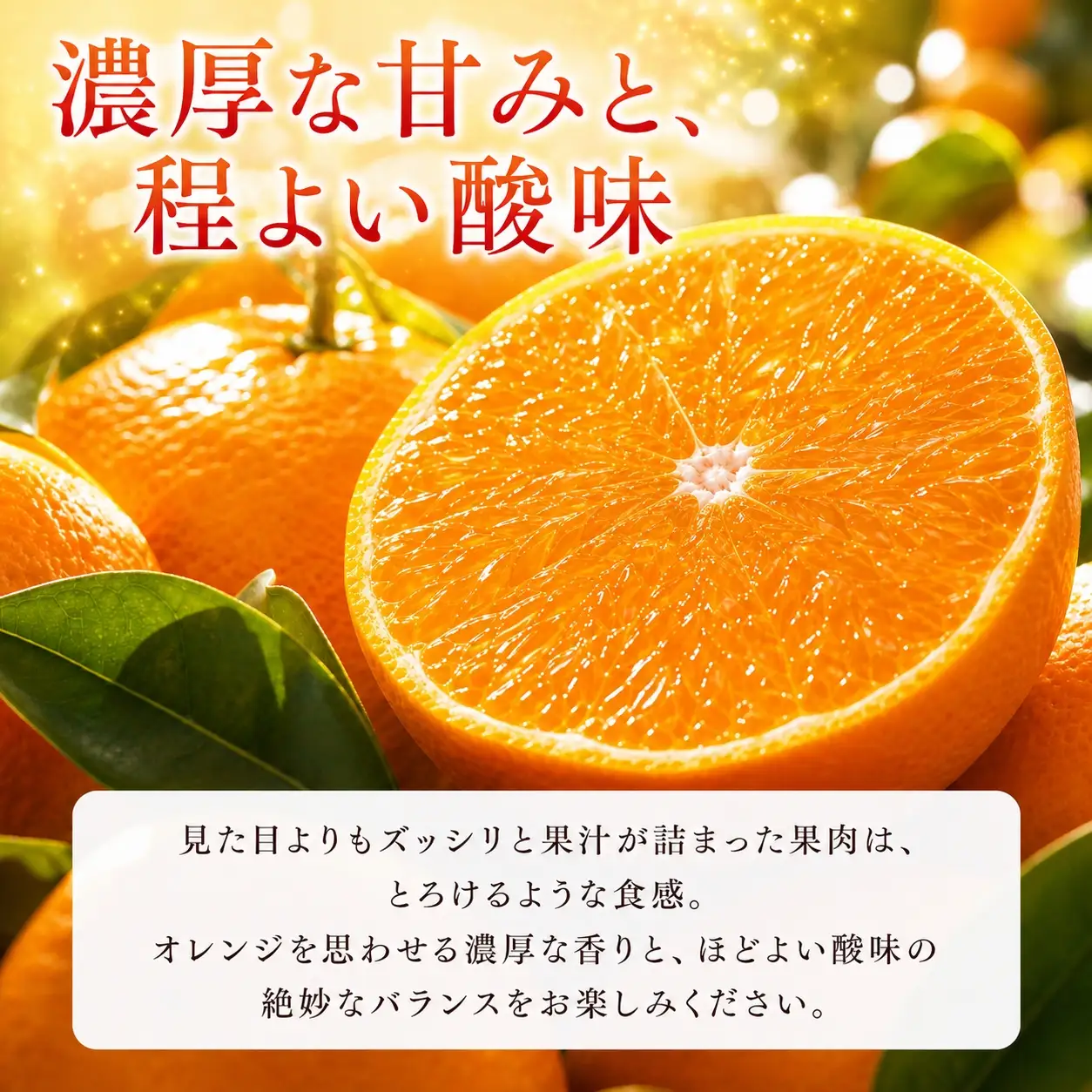 とろける食感！ジューシー柑橘　せとか　約3kg【予約】※2027年2月下旬頃〜3月中旬頃順次発送(お届け日指定不可)【uot506A】