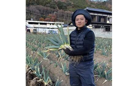 ボリュームたっぷり！下仁田ネギのすき焼きセットGS≪下仁田ネギ・上州牛・椎茸・生芋白滝・すき焼き割下≫ すき焼き鍋 セット 簡単 便利 とろける 甘い ねぎ ネギ 王様ねぎ 殿様ねぎ 特産 栄養たっぷり ブランド 上州ねぎ F21K-011
