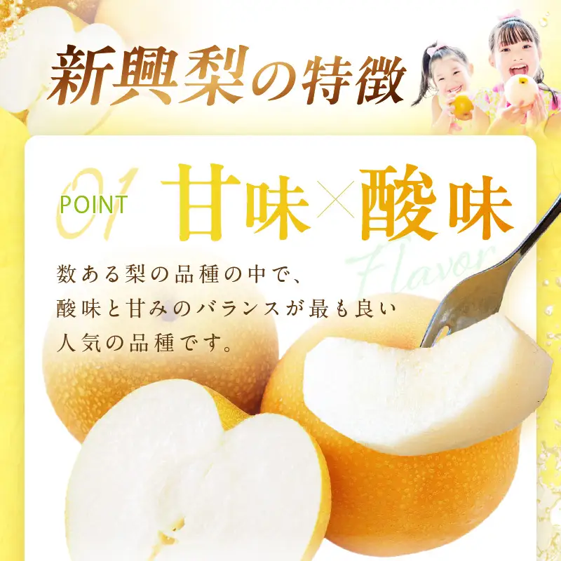フルーツ 梨【先行予約／数量限定700】新興梨（訳あり） 5kg （7～12玉）（2026年9月下旬～発送）(赤梨 梨 ナシ 梨 梨 梨)