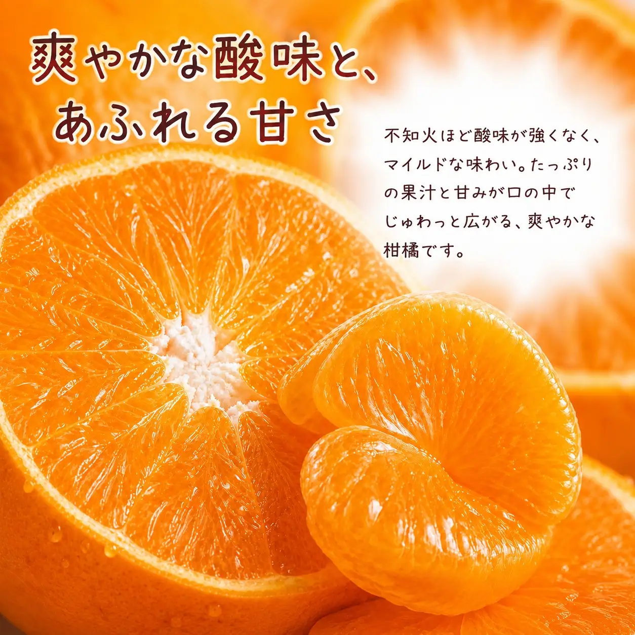 果肉ぷりぷり! 完熟はるみ 約5kg　※2027年1月下旬頃～2027年2月上旬頃に順次発送予定(お届け日指定不可) 【uot732】