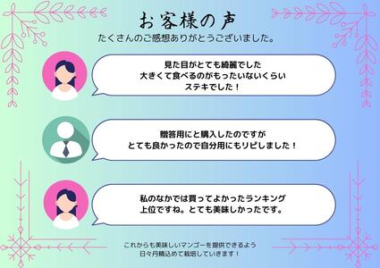 高品質マンゴー　秀品　約1kg（2～3玉）【かっちん南風原マンゴー園】【2027年発送】