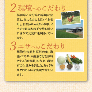 放し飼いたまご『かぐやひめ』150個【福岡上毛町産】_C00101-1