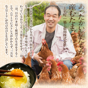かぐやひめ「初たまご」180個【福岡上毛町産】_C00601-1