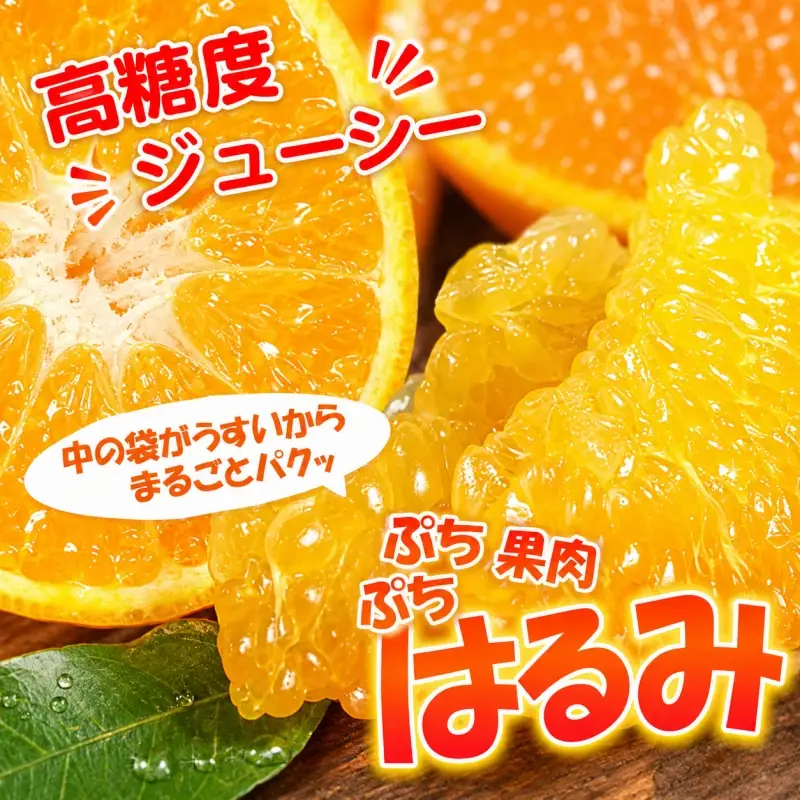 はるみ 約4kg/サイズおまかせ　※2027年1月下旬～2027年3月中旬頃に順次発送予定(お届け日指定不可)　紀伊国屋文左衛門本舗【kstb460B】
