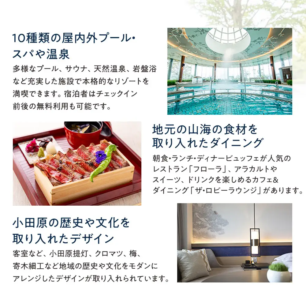 【チケット有効期限延長！】ヒルトン・スーペリア・ツインルーム宿泊プラン　1泊夕朝食付き　平日　＜1組2名様＞★オーシャンビュー！天然温泉大浴場、プール施設利用含む【オーシャンビュー フィットネス 天然温泉大浴場 バーデゾーン ヒルトン 神奈川県 小田原市 】