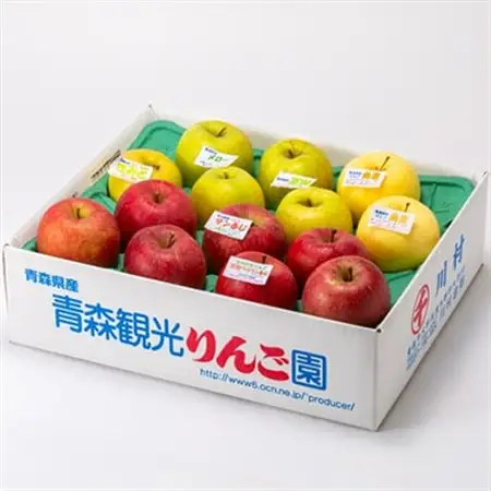 家庭用【令和8年8月～令和8年9月発送分】農家おススメ!旬のりんご約5kg_果物・フルーツ りんご  リンゴ 林檎_【配送不可地域：離島】【1222616】