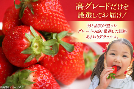 いちご あまおう デラックス 2p いちご 【2027年発送】