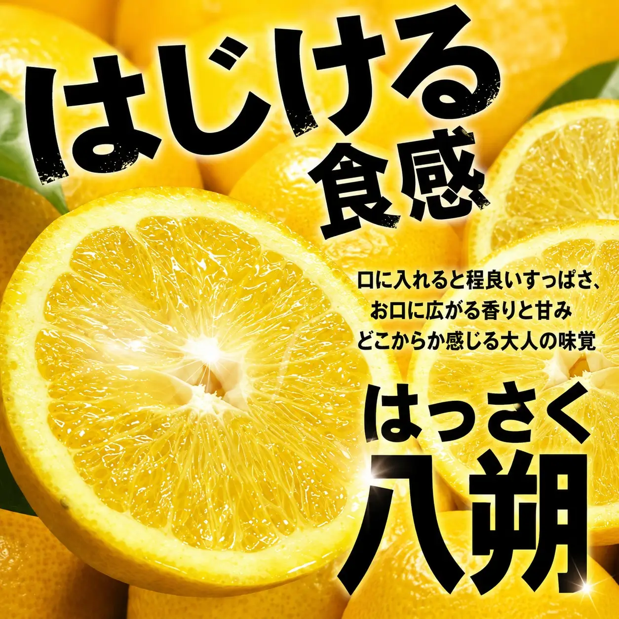 八朔(はっさく)約10kg サイズおまかせ　紀伊国屋文左衛門本舗 ※2027年1月下旬～2027年4月上旬頃に発送予定【kstb411C】