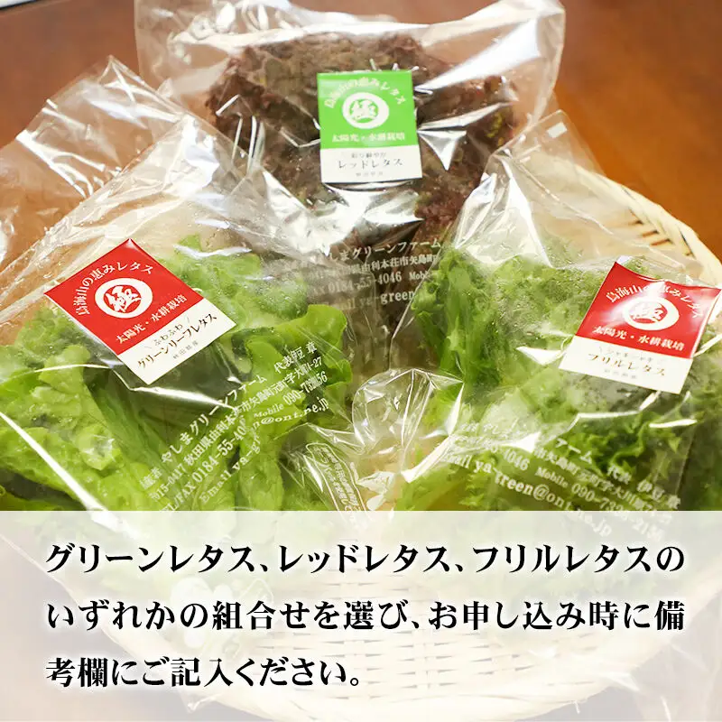 リーフレタス各種 80g×5パック グリーンレタス フリルレタス レッドレタス