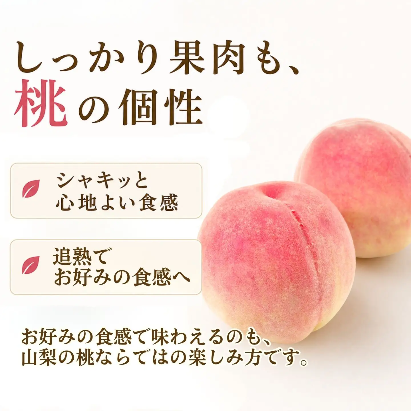 【2027年発送】山梨の桃 約2kg 桃