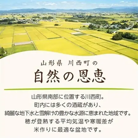 令和7年産　山形県産　つや姫　10kg_米 こめ 白米 精米 精白米 特別栽培米 つや姫 山形県 ブランド米 産地直送 人気 おすすめ 贈答 ギフト プレゼント 送料無料 お取り寄せ お米 ごはん_【1144531】