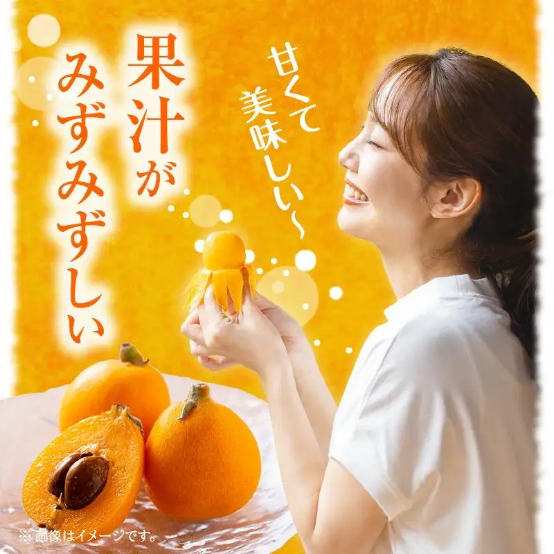 田中びわ 約1kg (約250g×4パック)【2027-6月上旬～2027-7月中旬配送】| びわ