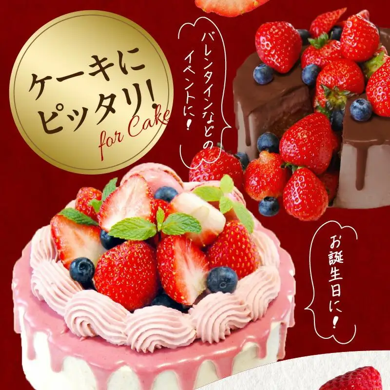 希少ないちご ケーキ用 女峰いちご 約2.2kg【2027年1月上旬～2027年5月下旬配送】