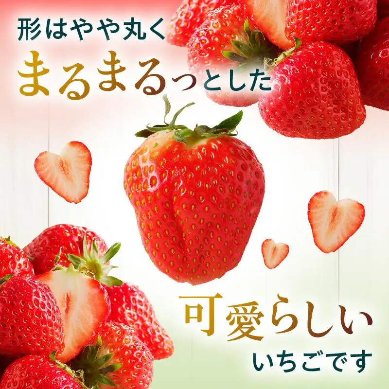 訳あり ご家庭用 さぬきひめ 約2.5kg【2027-2月下旬～2027-6月下旬配送】
