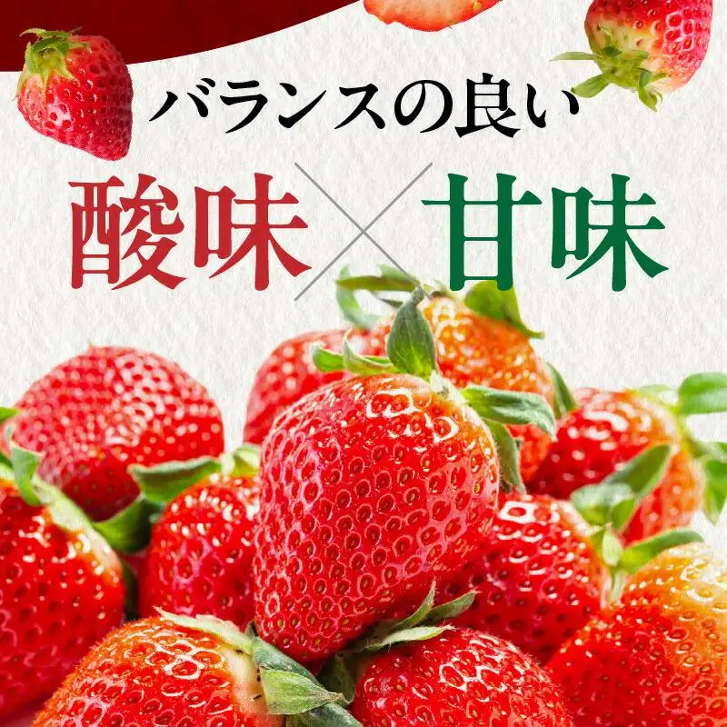 高松産季節の果物＜希少品種　女峰いちご＞約250g×8パック入り【2027年1月中旬～2027年6月中旬配送】