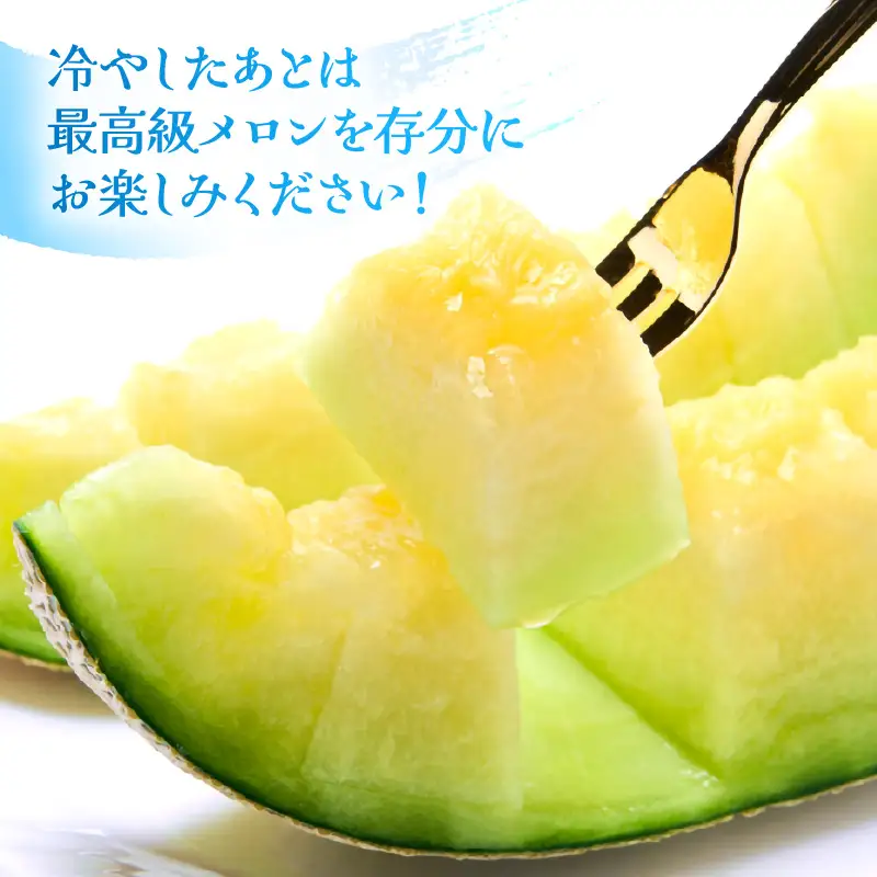 【先行予約】メロンの王様！アールスメロン 2玉入 2～3L 〈贈答用にも最適な最高級メロン〉／ 期間限定 果物 フルーツ 高級メロン マスクメロン 青肉 産地直送 ※2027年7月上旬より順次発送 [aw003-a011]