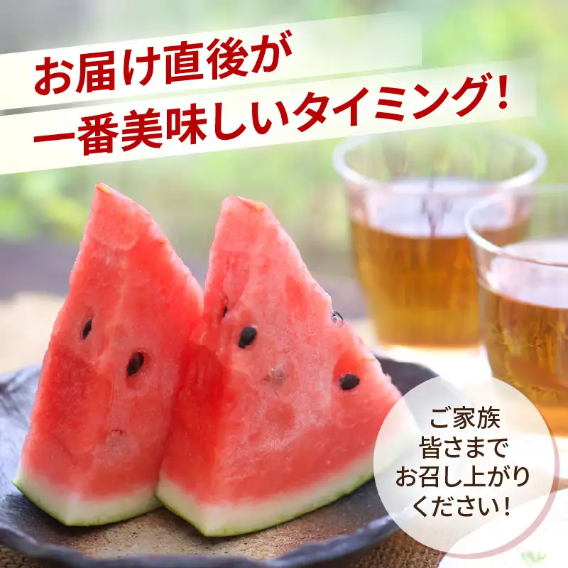 【先行予約】大玉スイカ「夏の天使」 1玉入 （L～2L）抜群の糖度で甘い！／ 期間限定 果物 フルーツ 西瓜 産地直送 ※2027年7月中旬より順次発送 [aw003-a002]