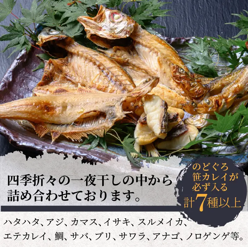 のどくろ、笹カレイ入り 一夜干し詰め合わせ ブラック｜干物