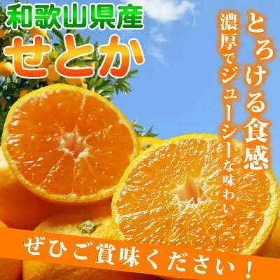 【2027年先行予約】とろける食感！ジューシー柑橘 せとか 3kg_G7353