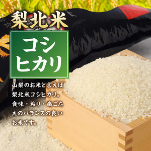 梨北信玄米コシヒカリ10kg（玄米） 粘り 山梨最大の米処 北杜市武川町産 [h067]