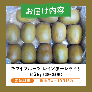 キウイフルーツ レインボーレッド® 2kg 大玉 高糖度 20～25玉 ビタミンC 無農薬 数量限定 期間限定 富士市 [sf001-087]