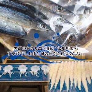 厳選干物 6種セット 創業80年！地元で愛される人気の干物 Bセット（アジ開き×2枚、カマス開き×2枚、サンマ開き×2枚、タチウオみりん干し×100g、マグロみりん干し×100g、スルメ） ひもの【sio101A】