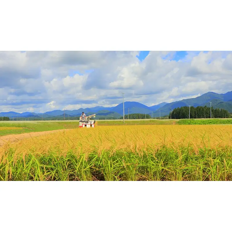 【令和7年産】米食味鑑定士厳選 新庄産 はえぬき(精米) 4kg 米 お米 おこめ 山形県 新庄市 F3S-2895