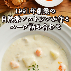 【3ヶ月定期便】 化学調味料無添加スープ6食セット〈レトルト〉