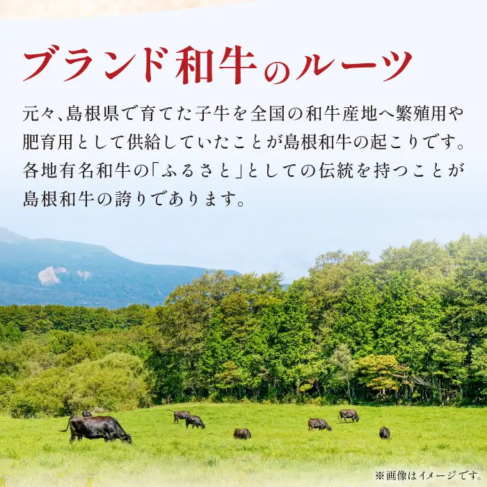 三瓶の極み 島根和牛A5 すき焼き用500g
