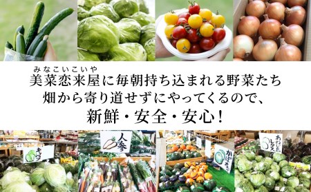 【美菜恋来屋】ほんまもん淡路島野菜BOX（小）