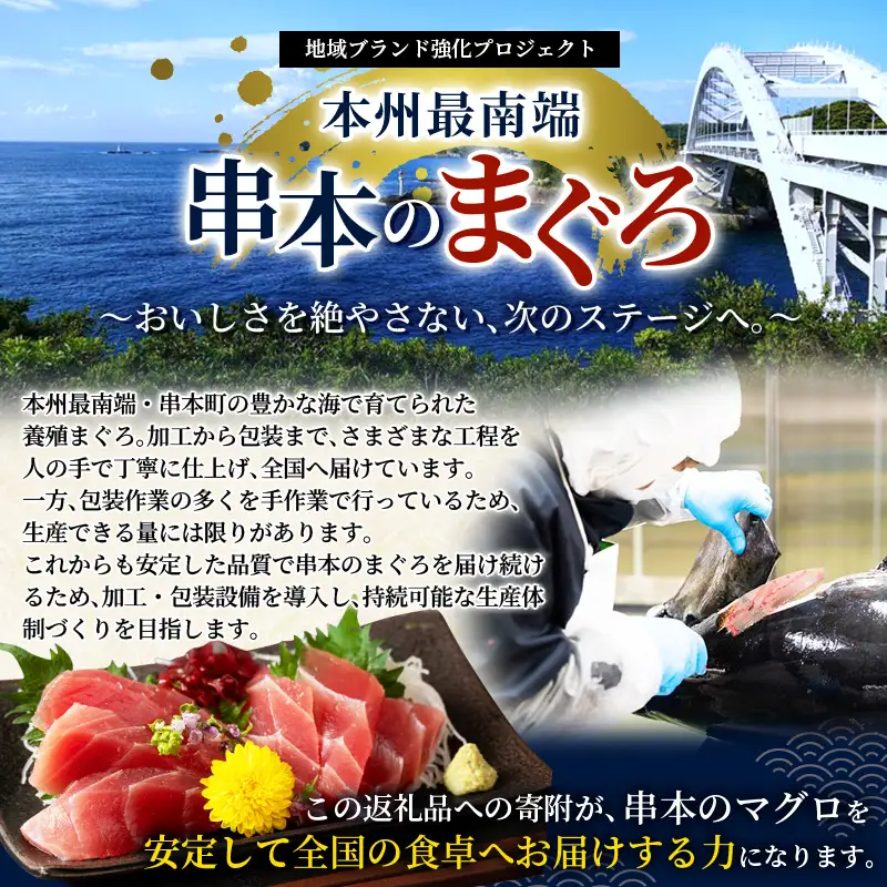 本マグロ トロ＆赤身セット 3kg（養殖） 【2ヶ月以内に順次発送】 濃厚な赤身と高級部位トロの鮪好きにはたまらないセット【串本町×北山村】 高級 クロマグロ【nks112】