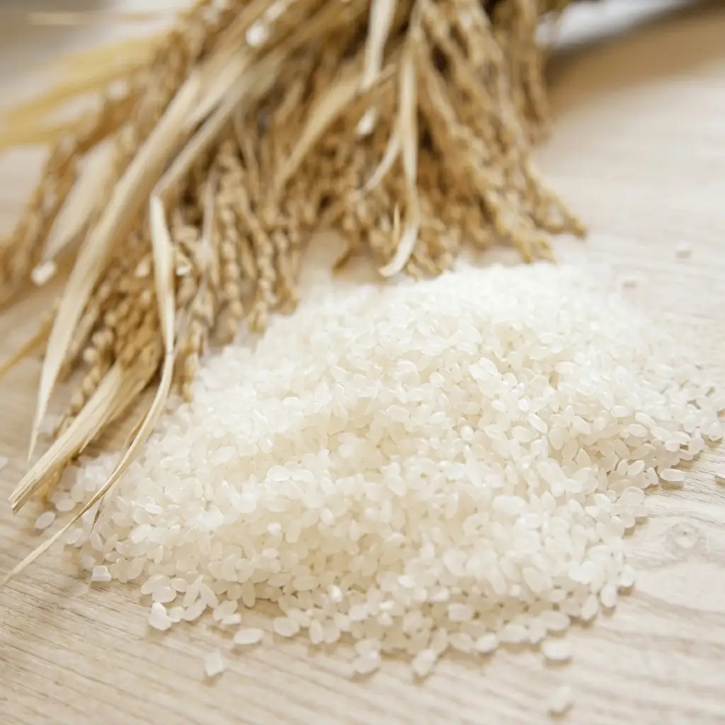 【令和6年産新米】伊吹の食卓米 20kg×3回お届け お米 コシヒカリ 