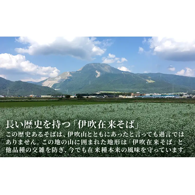 伊吹久次郎蓬（よもぎ）そば 6人前 つゆ付 半生蕎麦 麺類 伊吹そば 