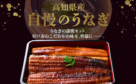 うなぎ蒲焼き 2尾 定期便 3回 うなぎ yj046