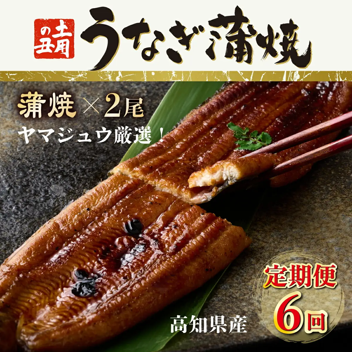 うなぎ蒲焼き 2尾 定期便 6回 うなぎ yj047