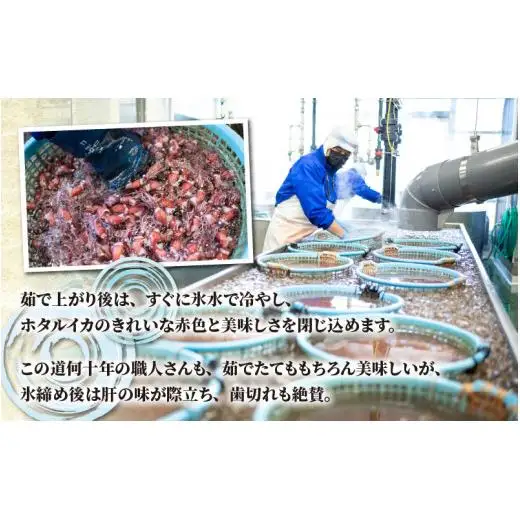 【先行予約】ボイル ほたるいか【27年3月中旬以降発送】 カネツル砂子商店 