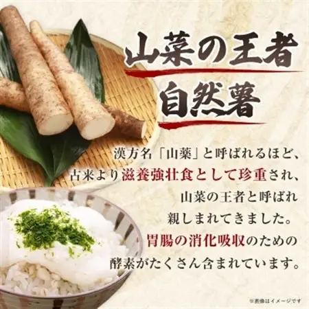 【数量限定】日出町産自然薯「ねばりごし一本」 (800g)_野菜 自然薯 根菜 じねんじょ ジネンジョ_【1134764】