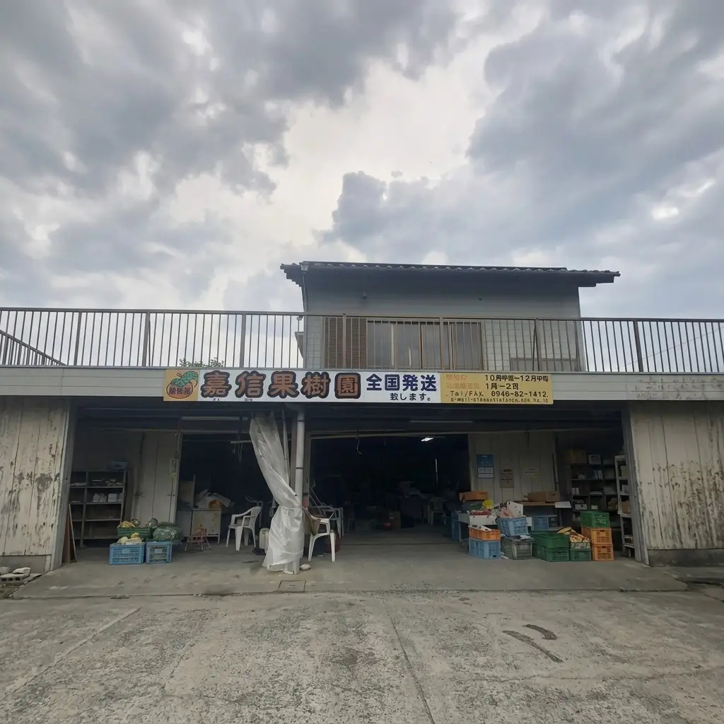 柿 富有柿 Lサイズ 14～15玉入 かき カキ 果物 くだもの フルーツ 