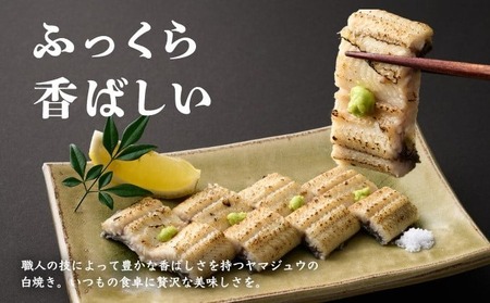 うなぎ白焼き 2尾 定期便 6回 うなぎ yj053