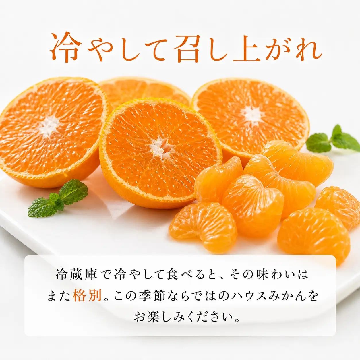 赤秀品　紀州和歌山ハウスみかん2.5kg【予約】※2027年6月末頃?7月中旬頃に順次発送予定(お届け日指定不可)【uot735B】