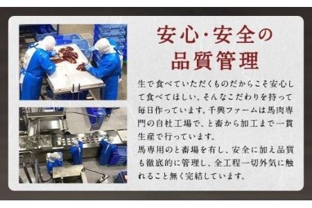 希少 生食用 馬レバー 100g 真空パック レバ刺し
