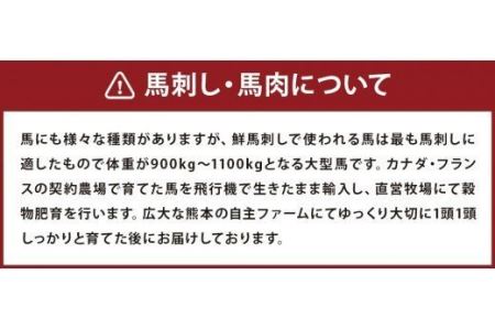馬刺し カルビ 心臓(ハツ) 切り落とし 600g セット 馬肉 冷凍